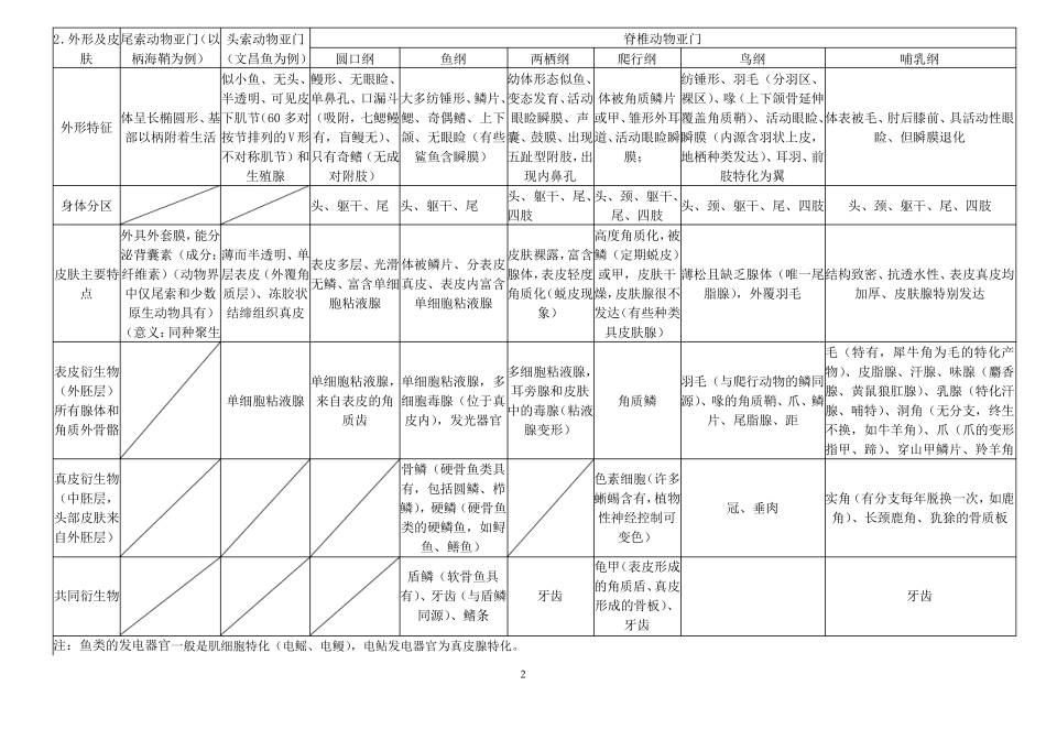 脊椎动物的总结_第2页
