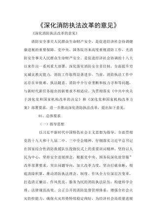 《深化消防执法改革的意见》