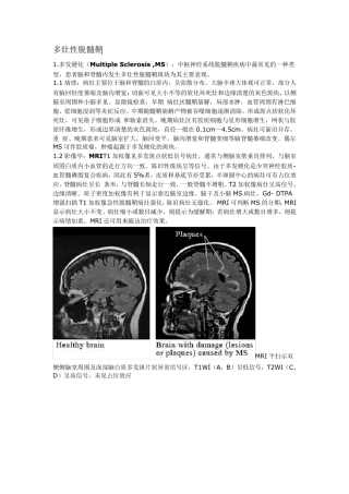 脑白质病变的影像学鉴别诊断