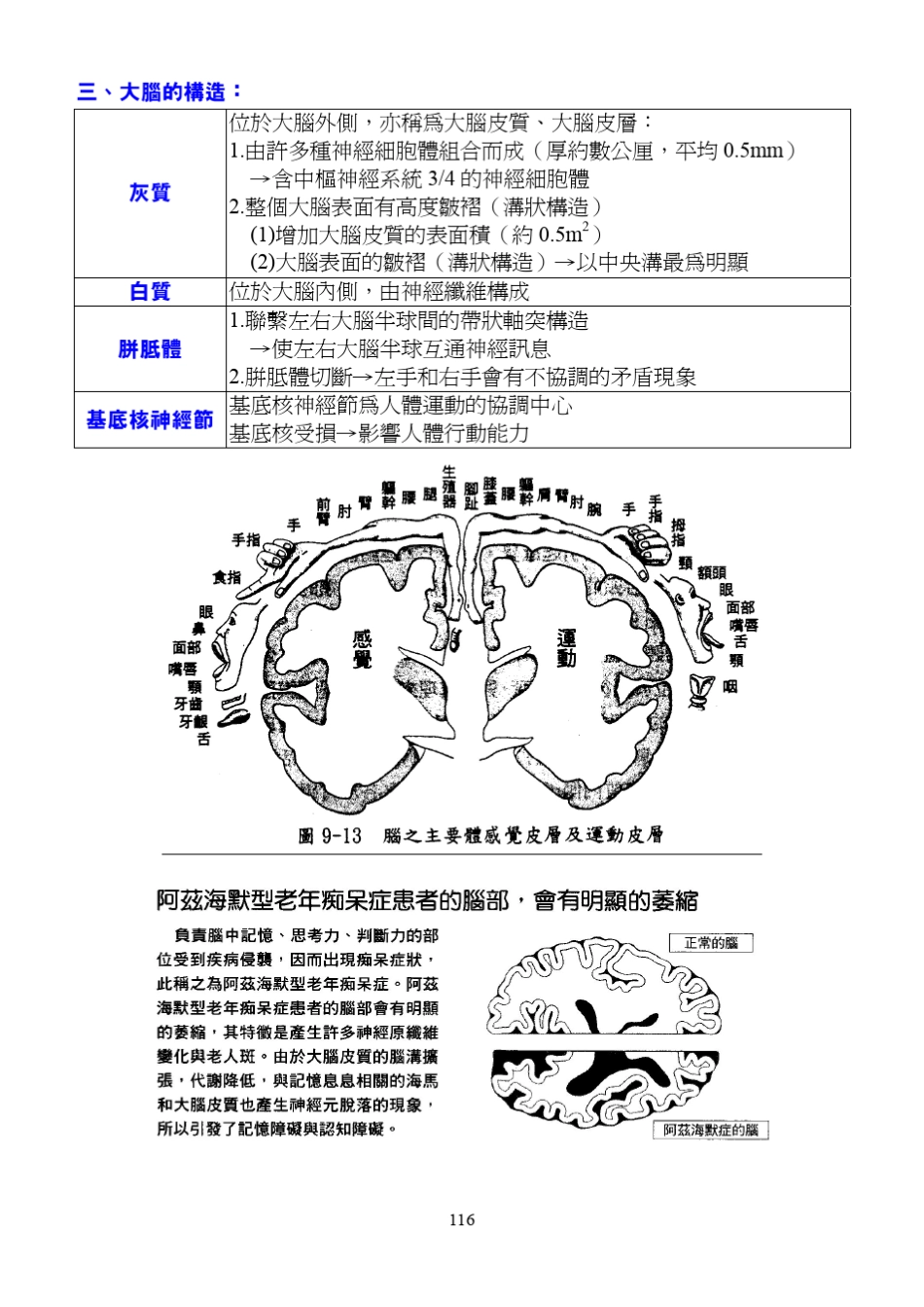 脑的各部构造与功能_第3页