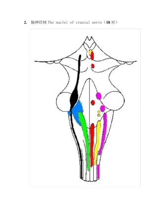 脑神经核及其记忆方法
