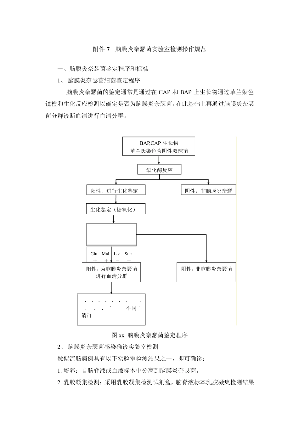 脑膜炎奈瑟菌实验室检测操作规范_第1页