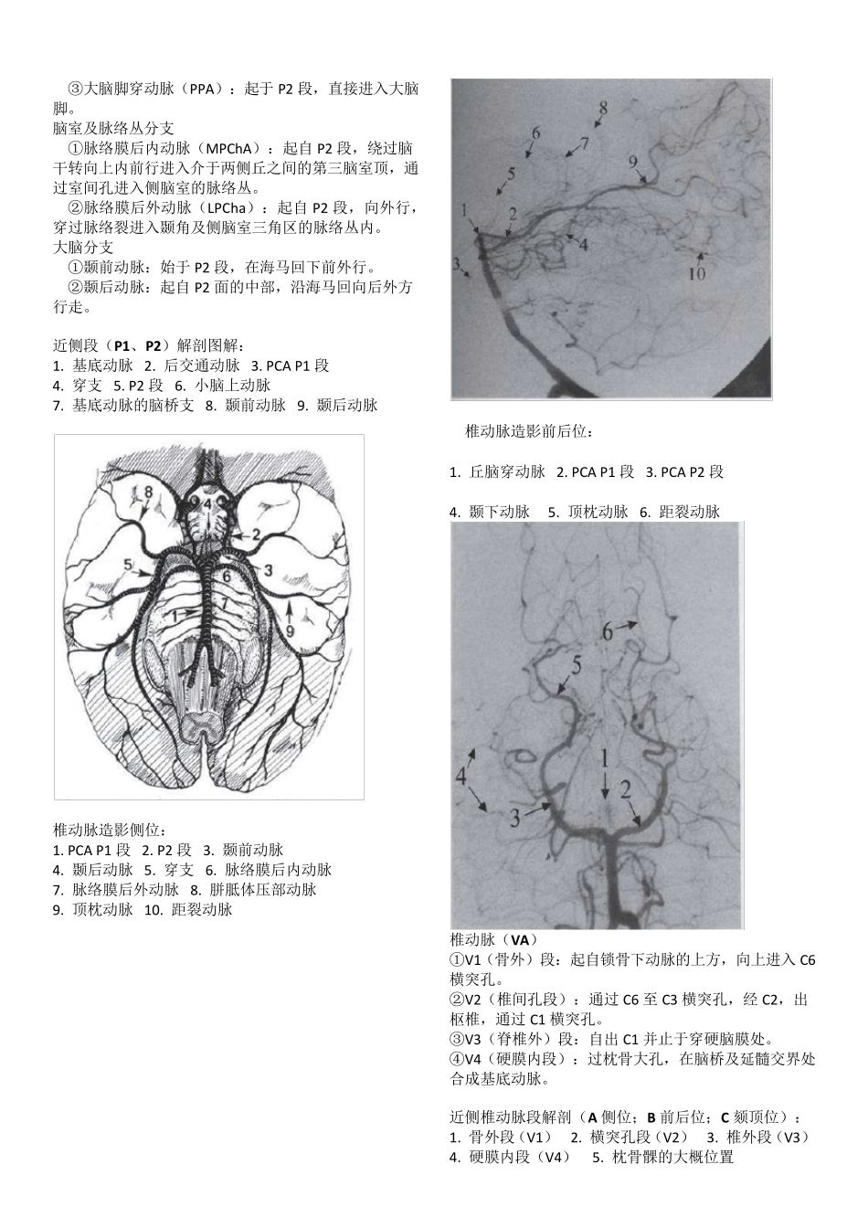 脑血管解剖及分段详解_第3页