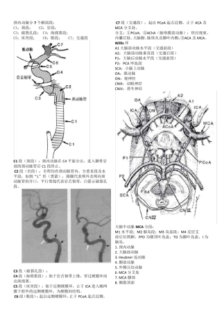 脑血管解剖及分段详解