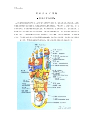 脚底按摩穴位图、按摩方法及正常反应