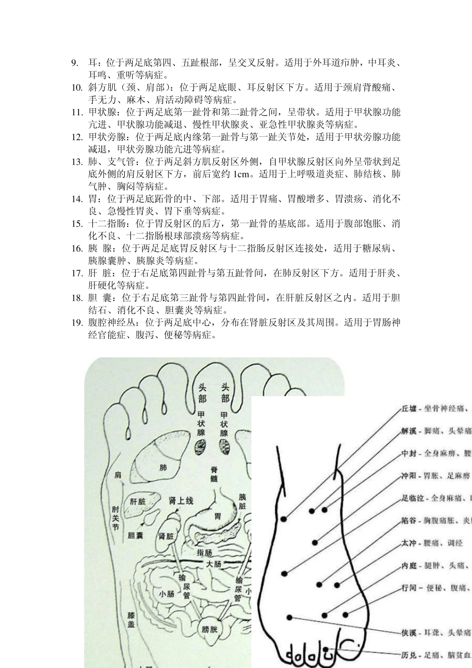 脚耳手部反射区图解_第2页