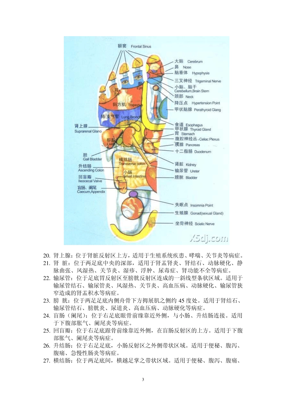 脚耳手部反射区图解_第3页