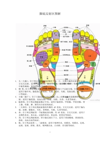 脚耳手部反射区图解