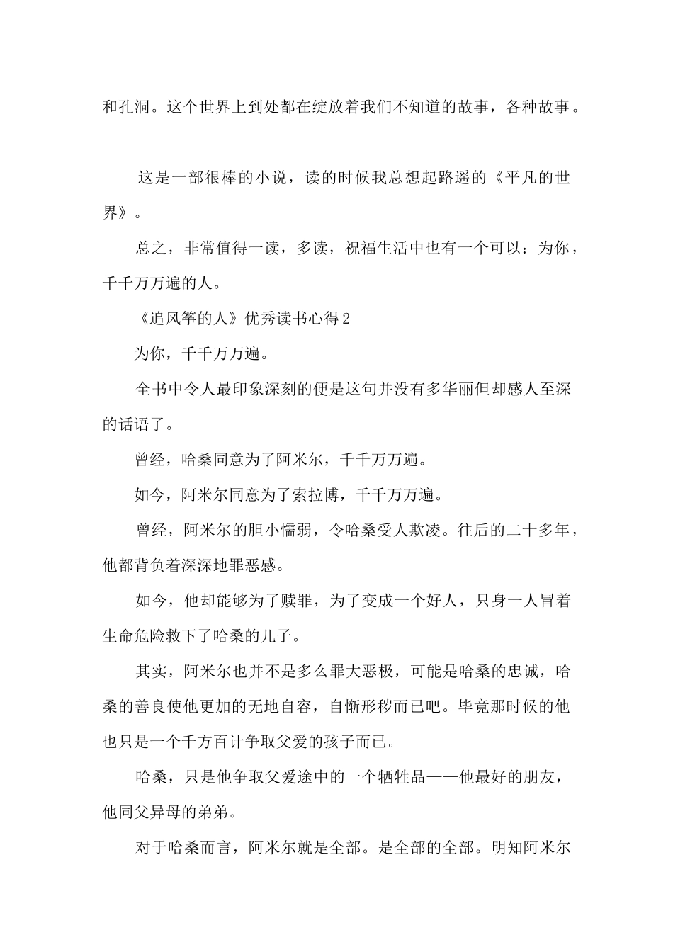 《追风筝的人》优秀读书心得_第2页