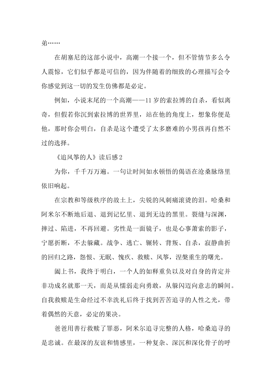 《追风筝的人》读后感精选5篇_第2页