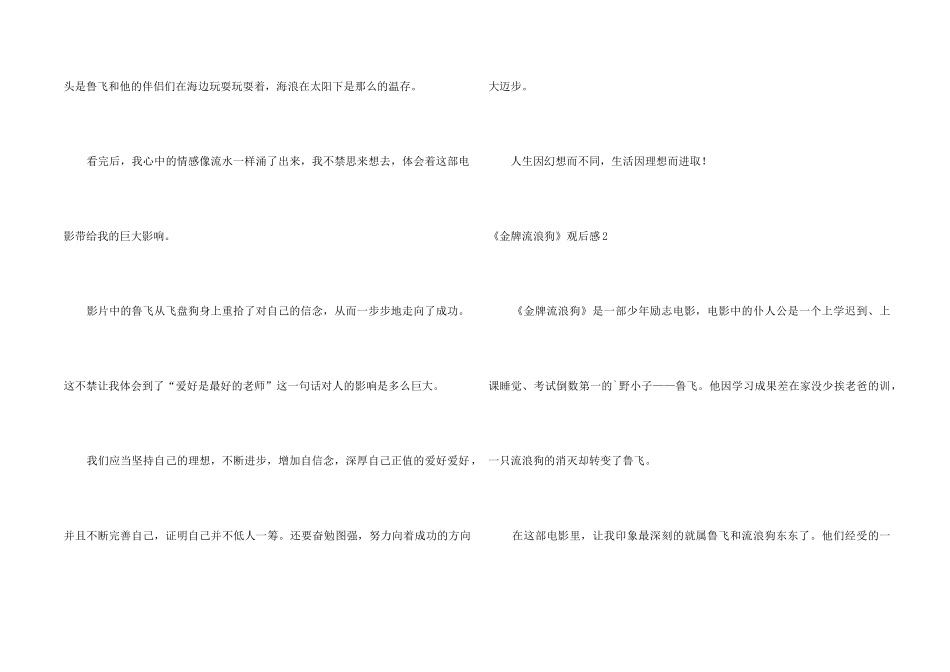 《金牌流浪狗》观后感5篇_第2页