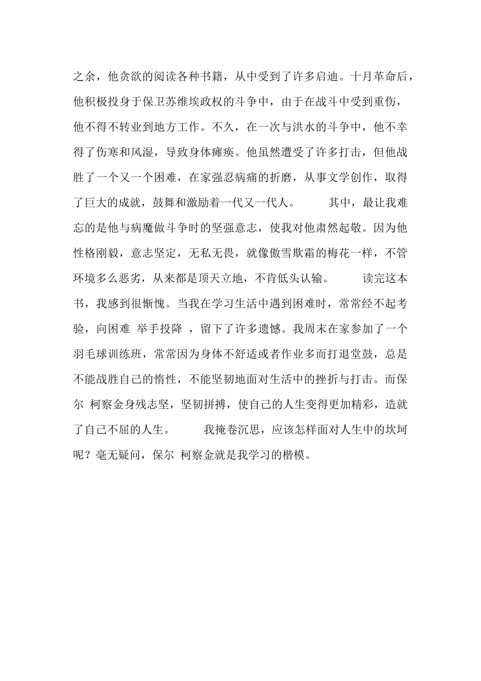 《钢铁是怎样炼成的》个人读后感优秀范文3篇_第2页