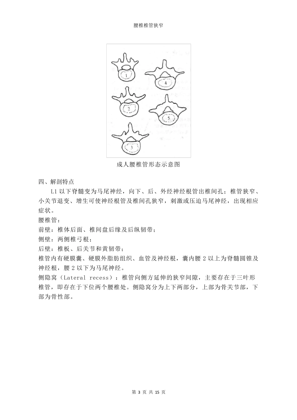 腰椎椎管狭窄_第3页