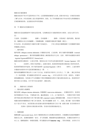 腹股沟区域的解剖与疝修补术
