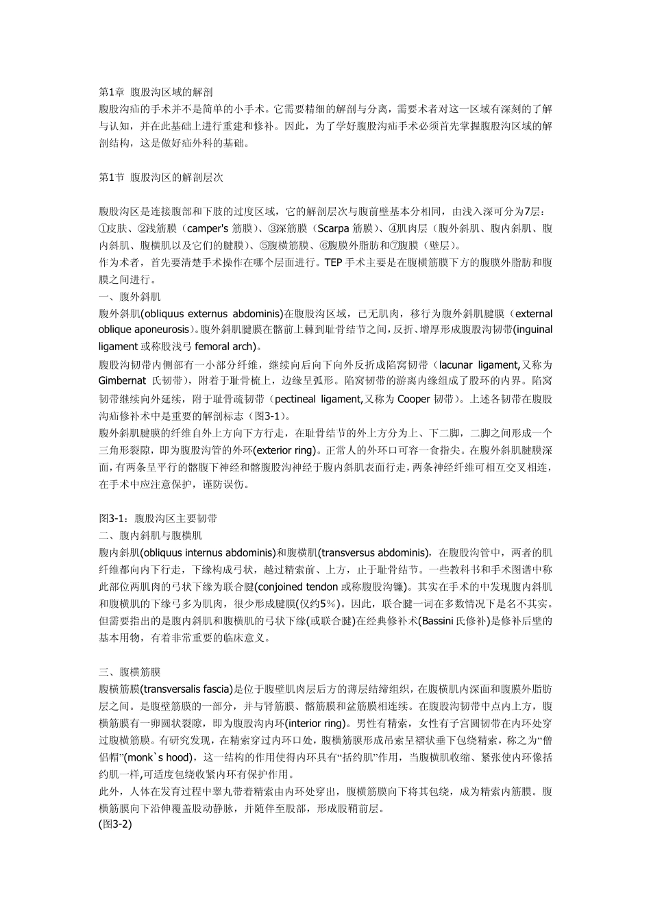 腹股沟管解剖_第1页