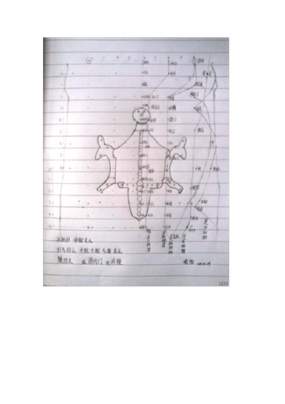 腹部常用穴位的定位和功能2_第2页