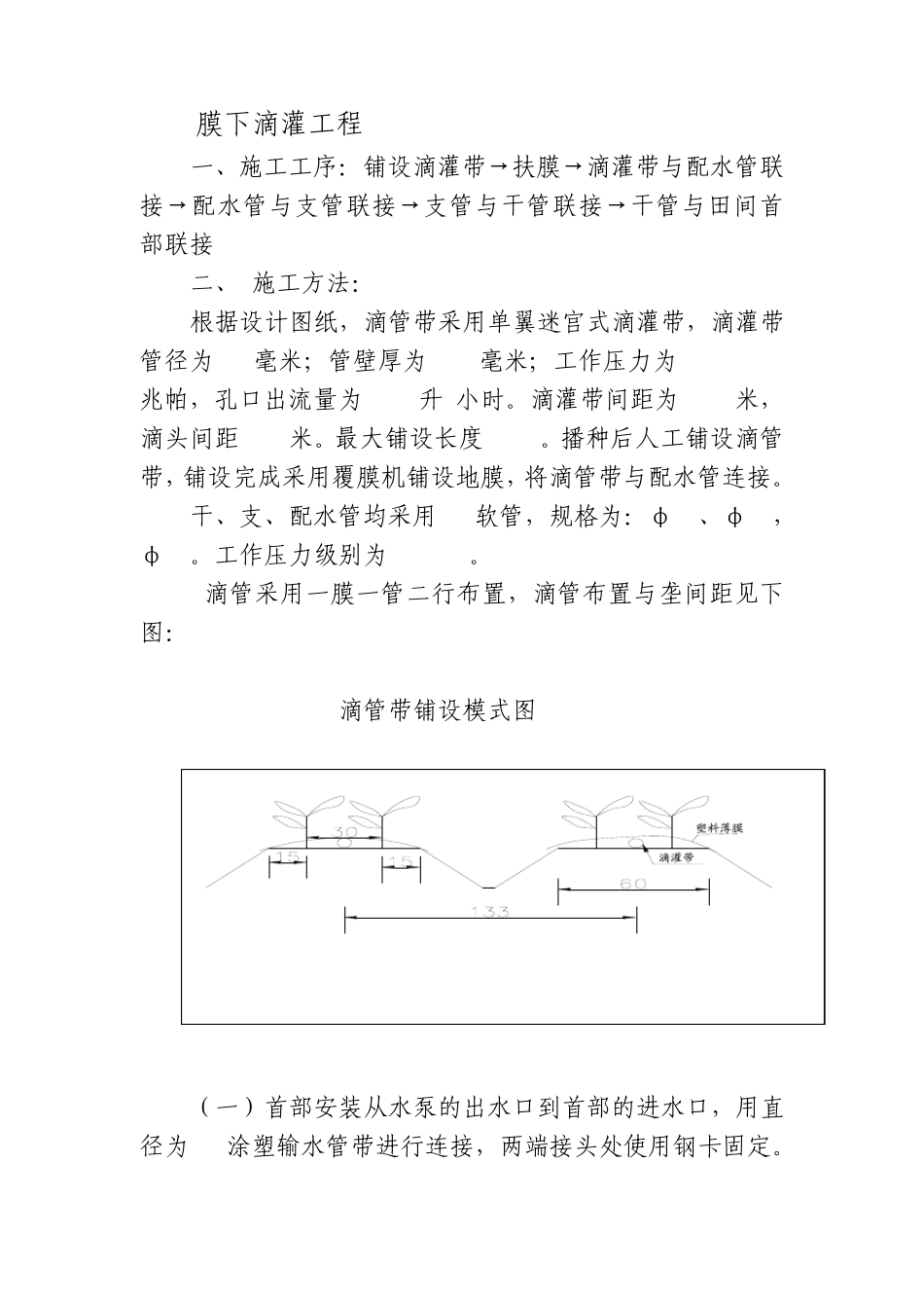 膜下滴灌方法_第1页