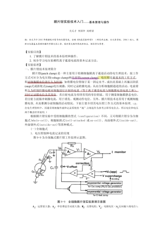 膜片钳实验技术入门基本原理与操作