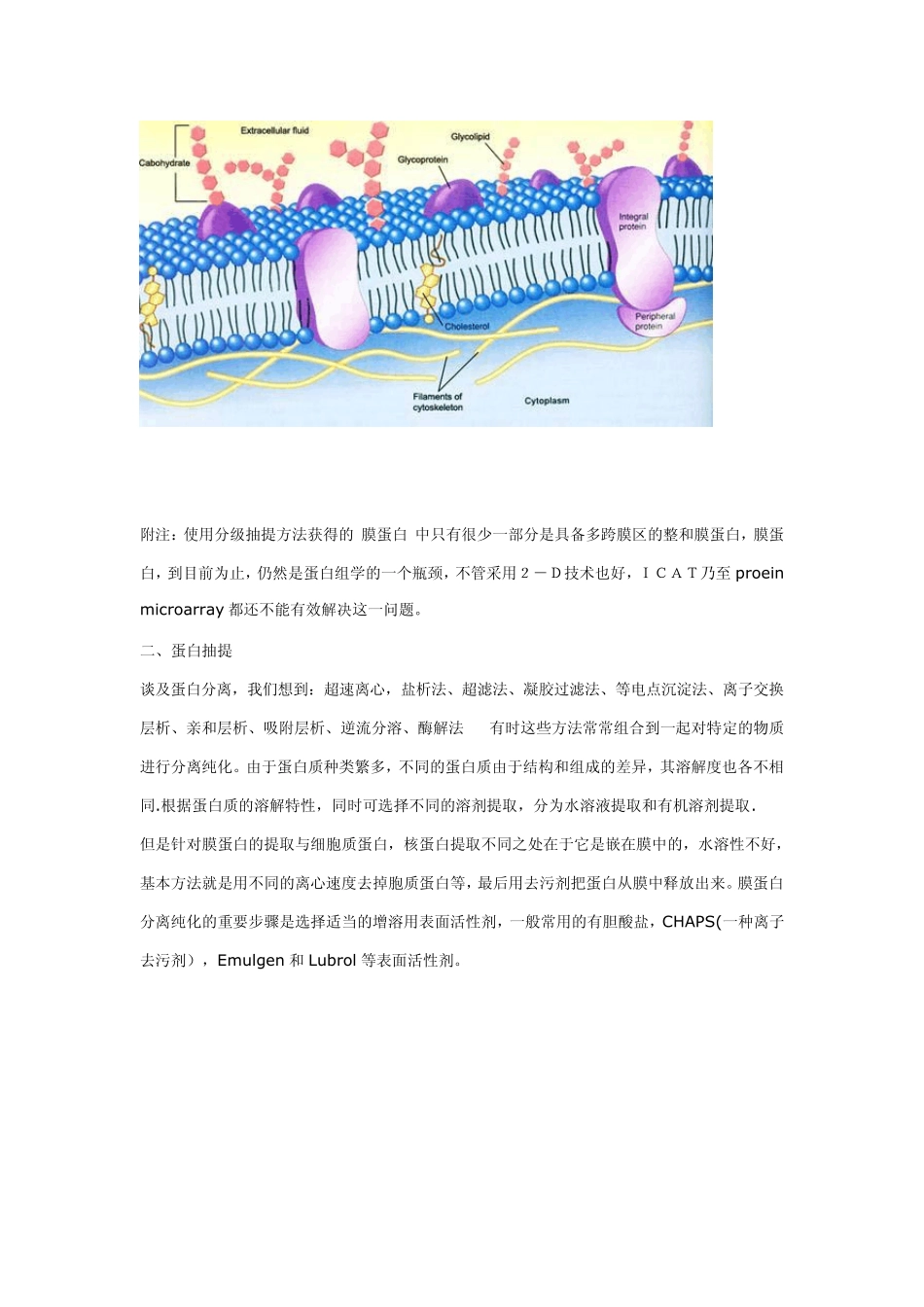 膜蛋白[membraneprotein]的分离_第2页