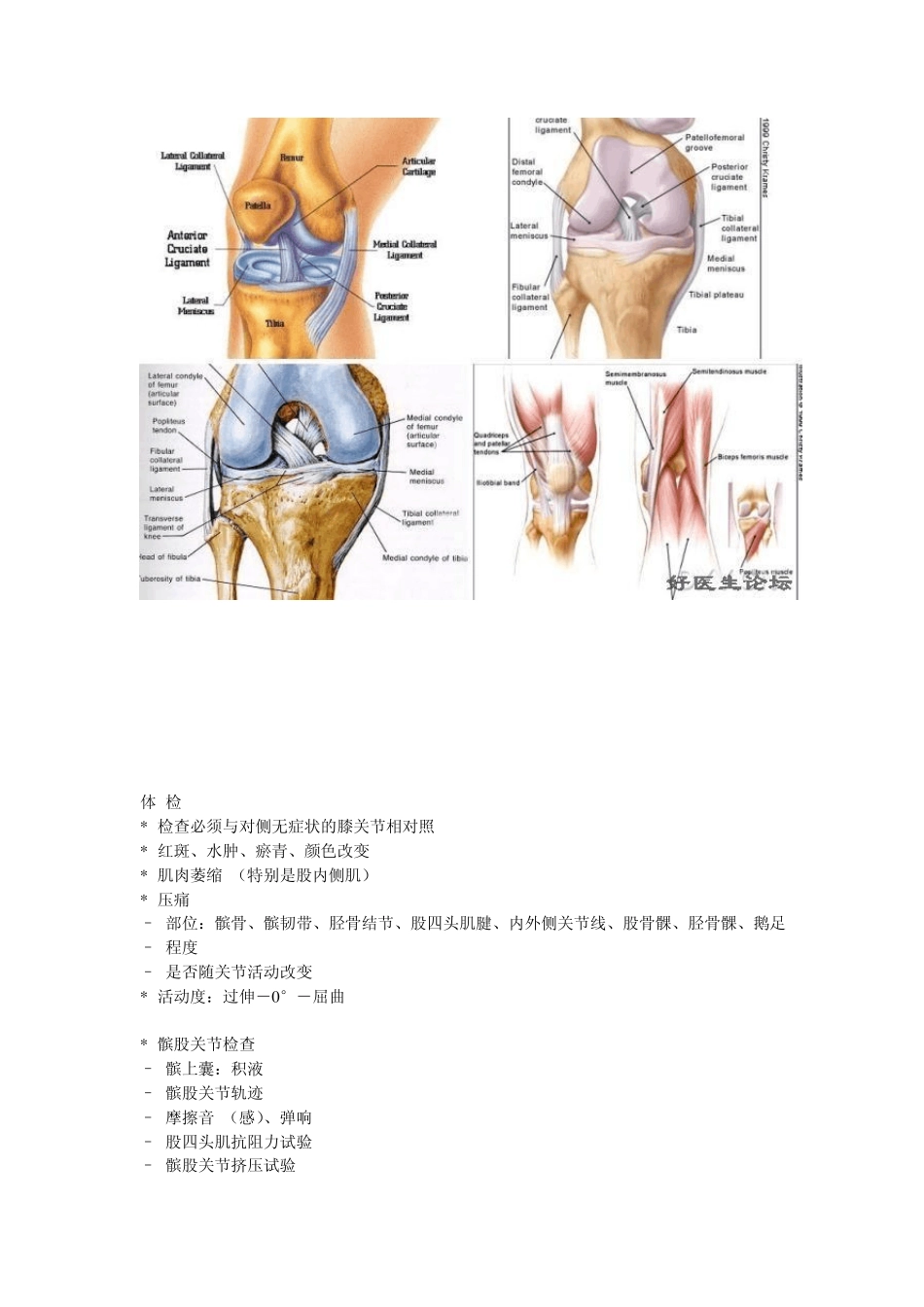 膝关节疼痛的诊断与鉴别诊断_第2页