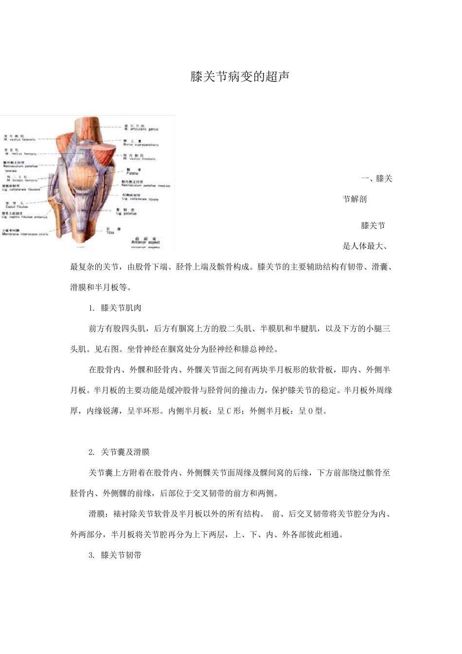 膝关节病变的超声_第1页
