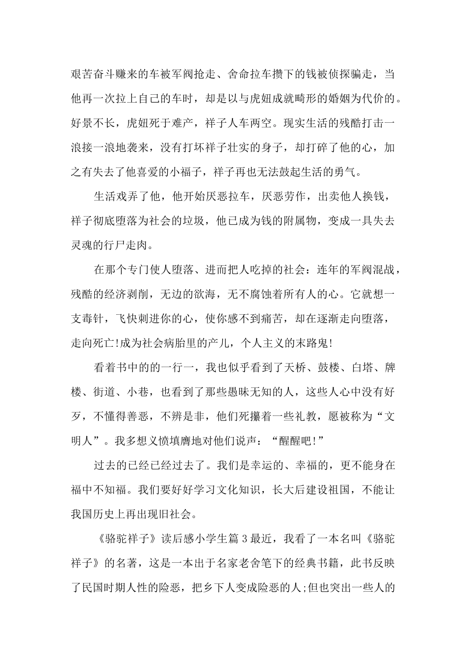 《骆驼祥子》读后感小学生6篇_第3页