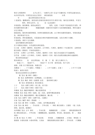 臂丛与周围神经