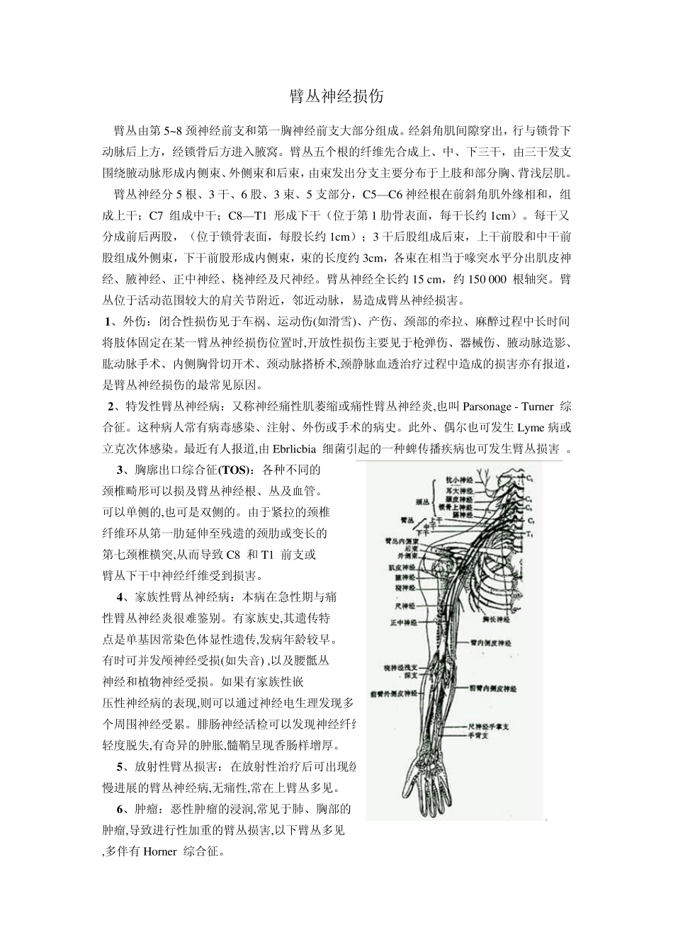 臂丛神经损伤_第1页