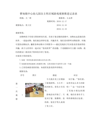 自主性区域游戏观察推进记录表