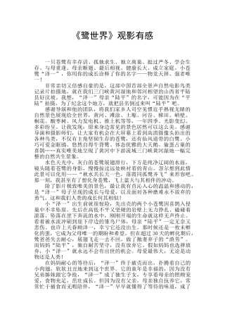 《鹭世界》观影有感