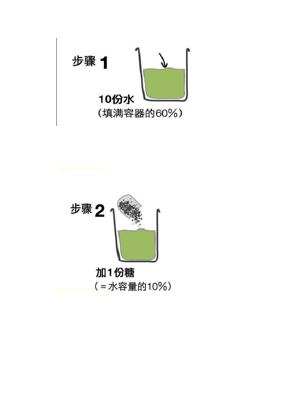 自制环保酵素全程图片大解密_第3页