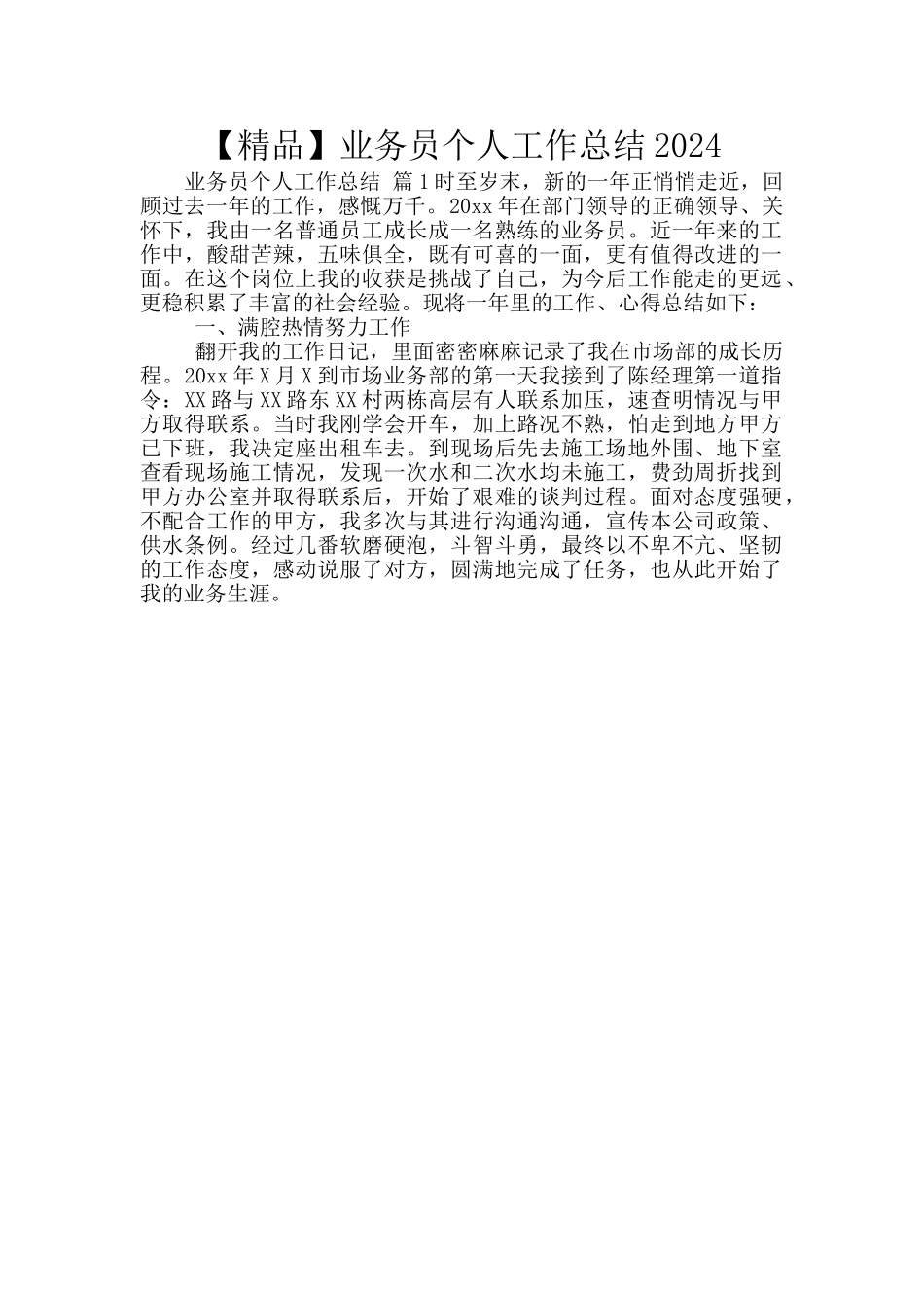 【精品】业务员个人工作总结2024_第1页