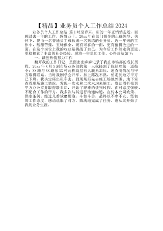 【精品】业务员个人工作总结2024