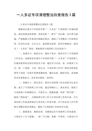 一人多证专项清理整治自查报告3篇