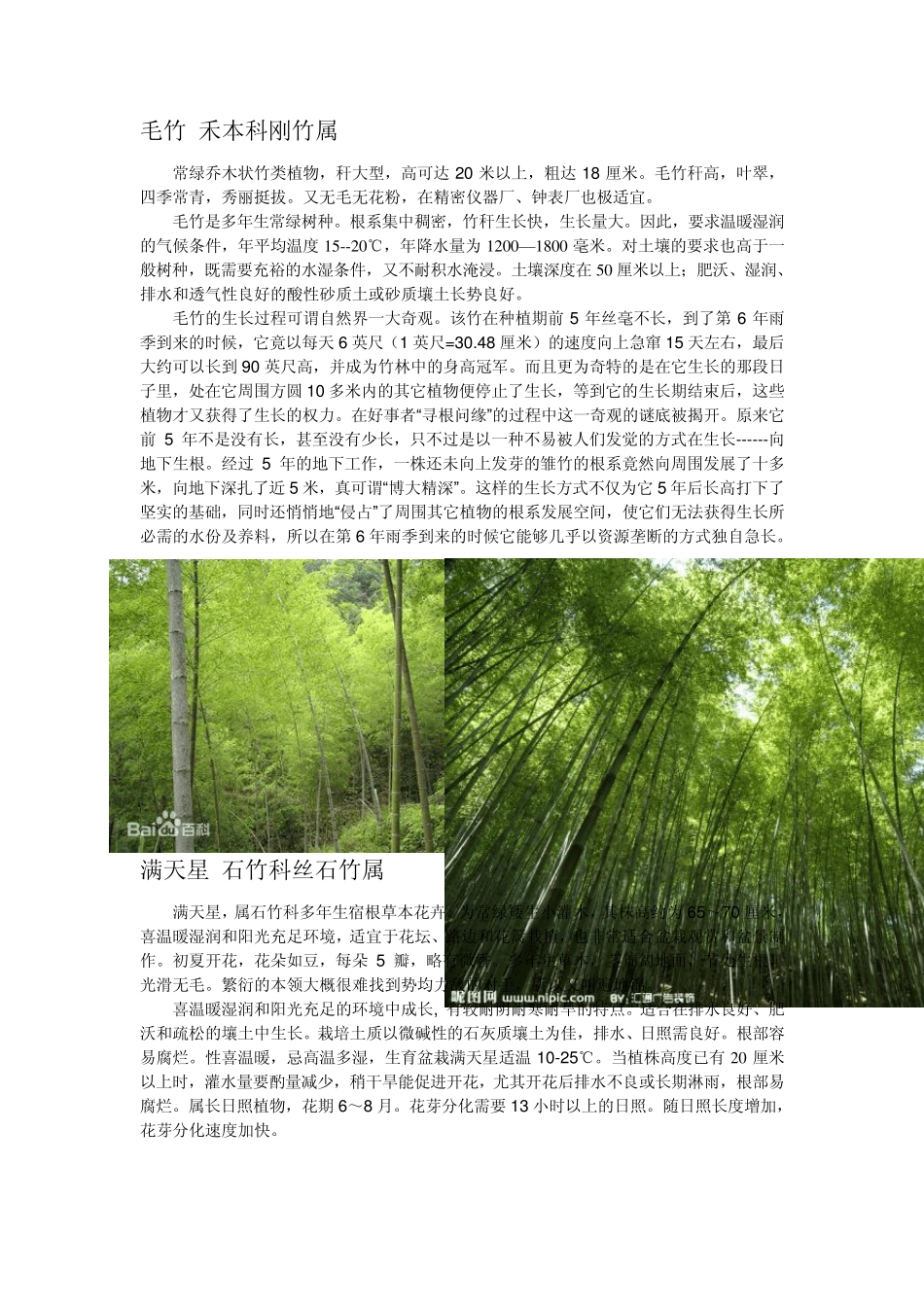 自己总结的几种植物图片和介绍_第1页