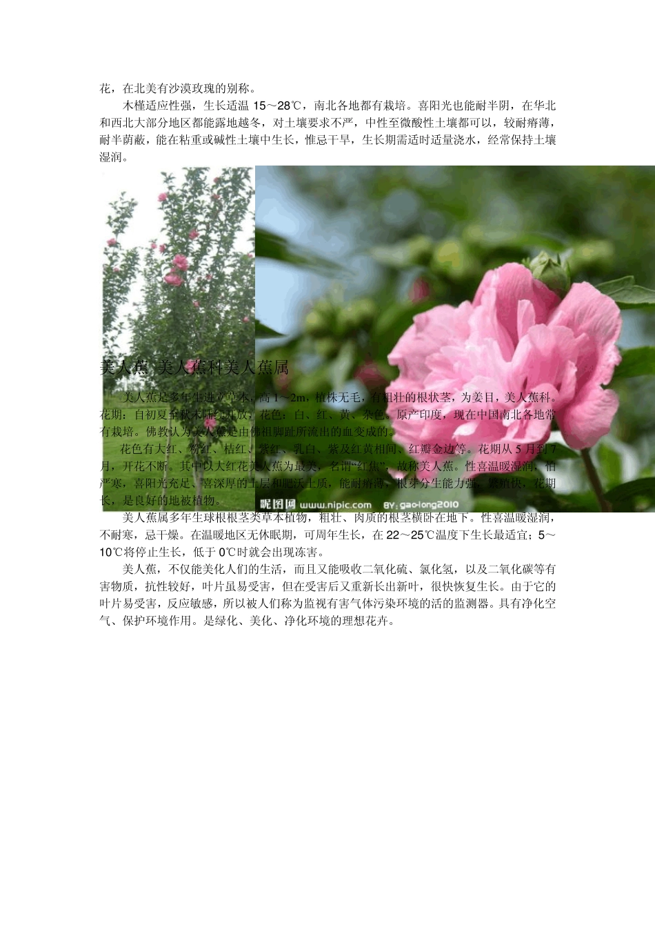 自己总结的几种植物图片和介绍_第3页