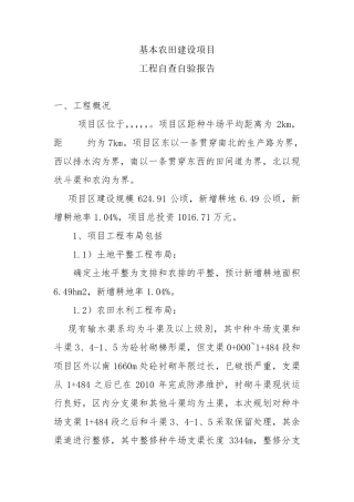 自查自验报告