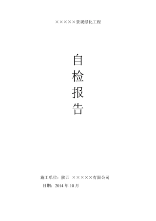 自检报告范例