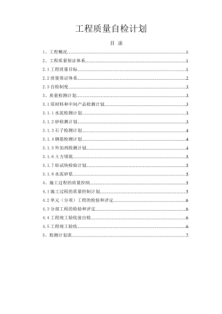 自检计划专项方案