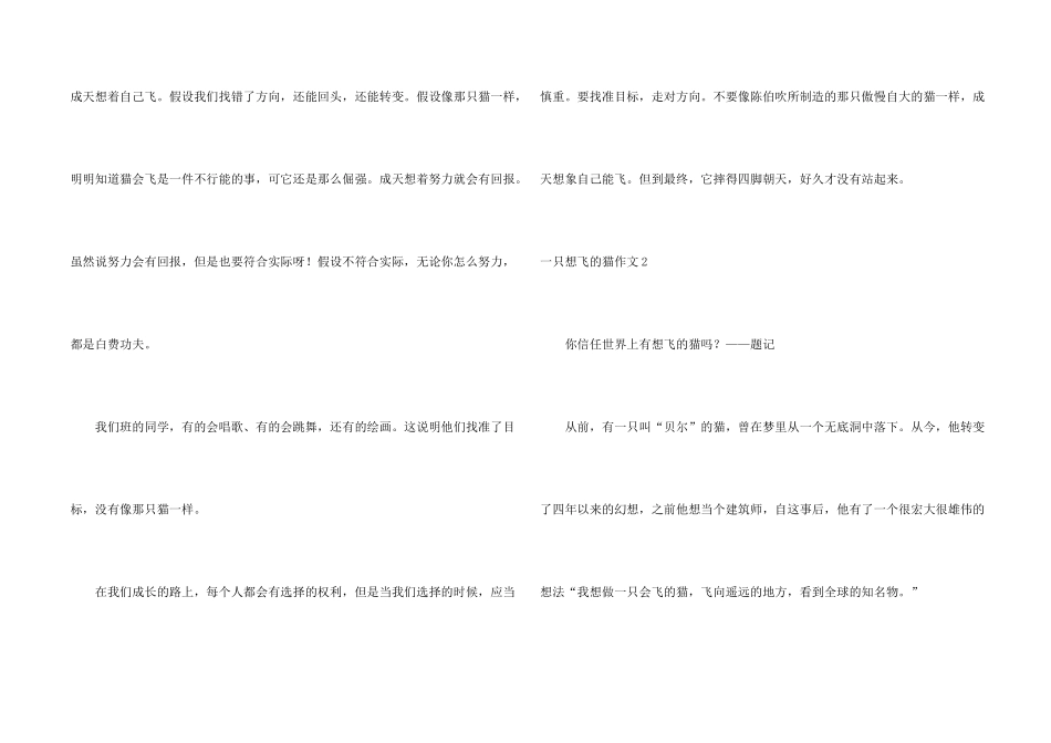 一只想飞的猫_第2页