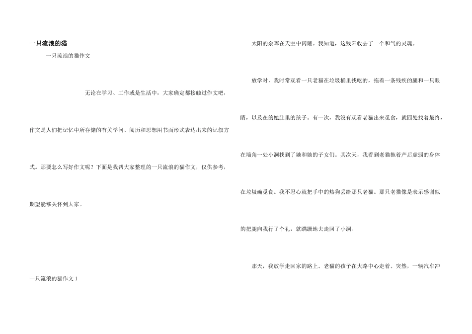 一只流浪的猫_第1页