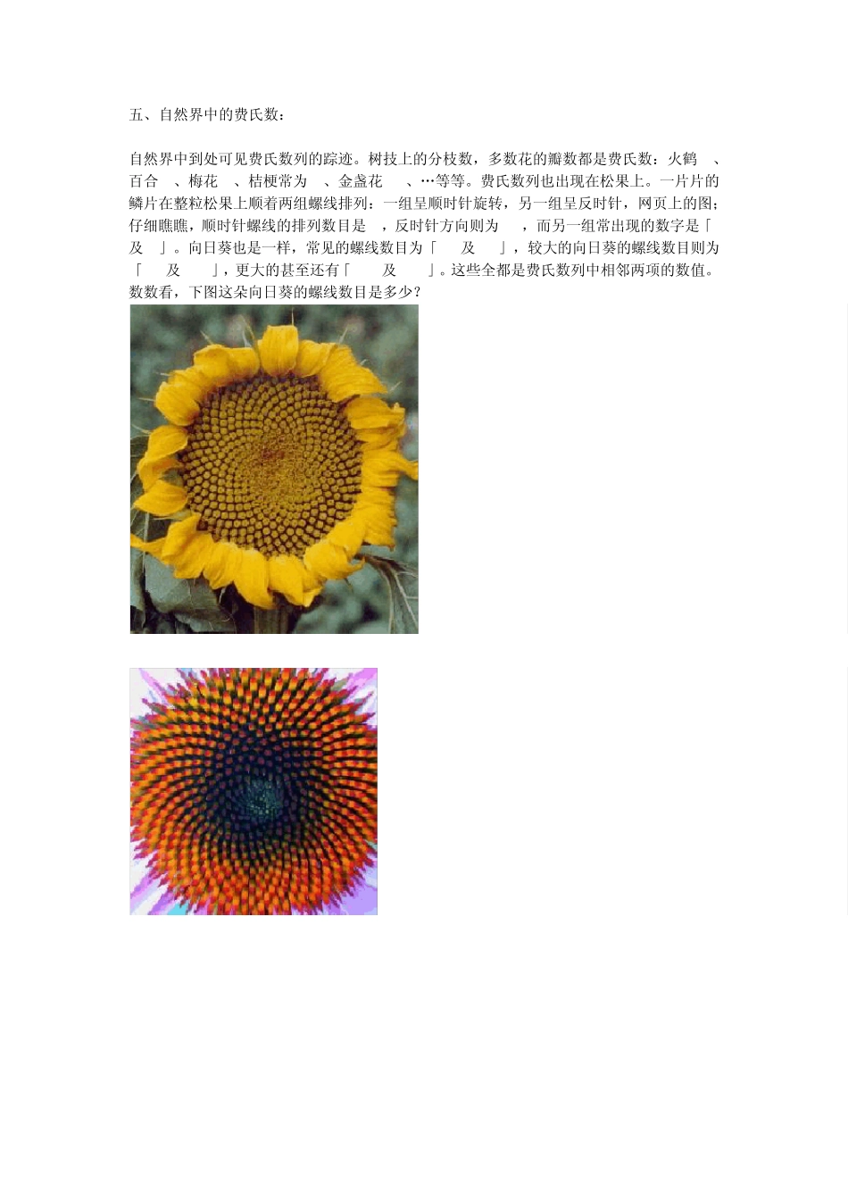 自然界中的斐波那契数_第1页