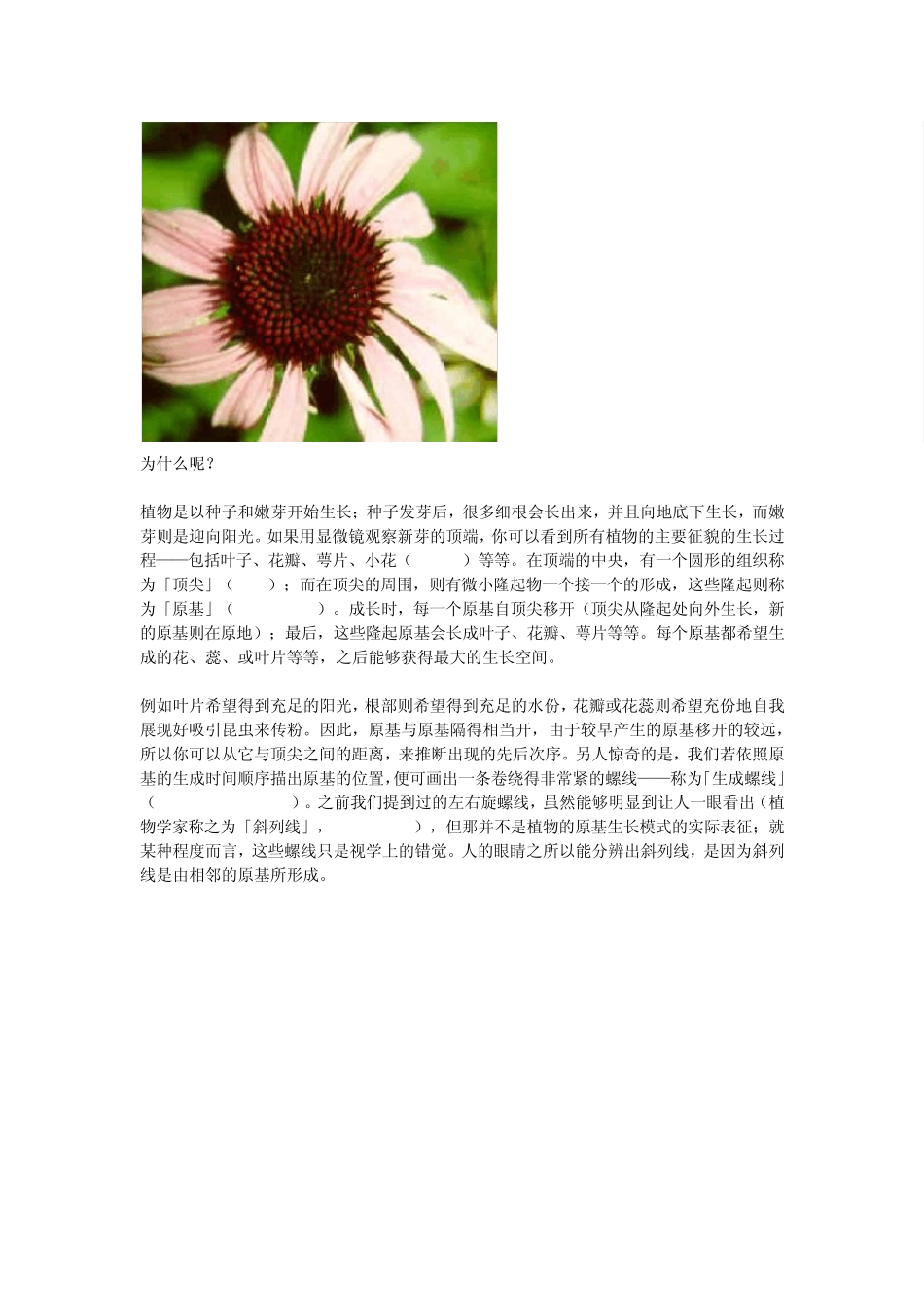 自然界中的斐波那契数_第2页