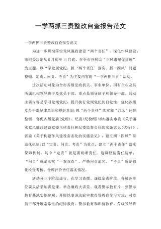 一学两抓三责整改自查报告范文