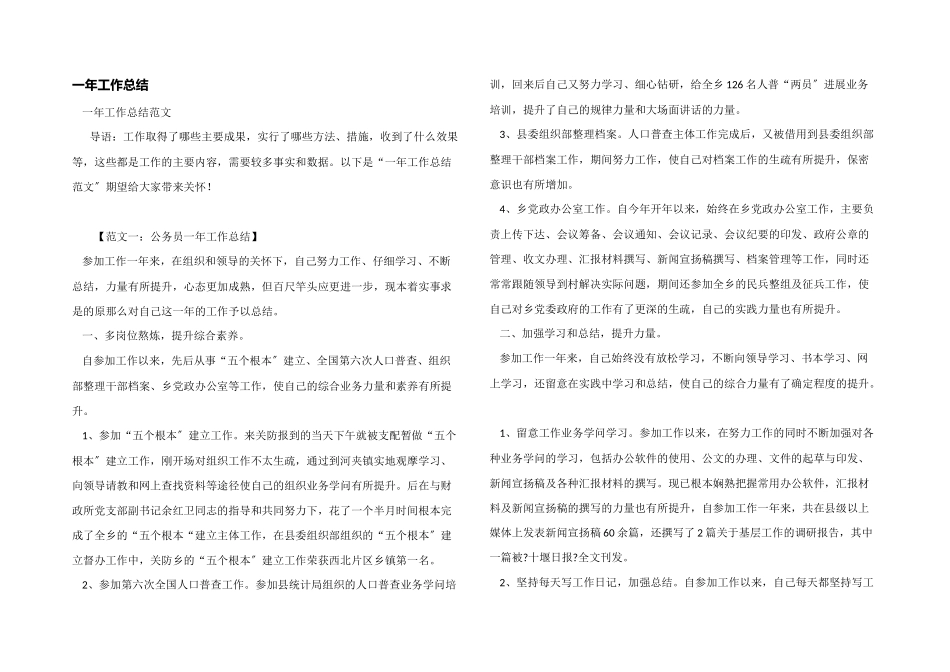 一年工作总结_第1页