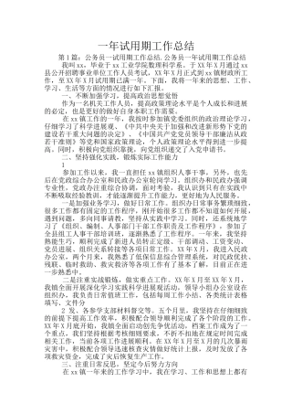 一年试用期工作总结