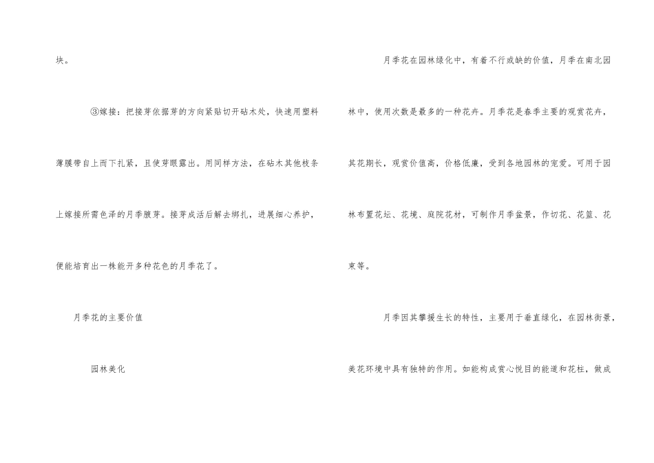 一株月季开出多色花的方法_第2页