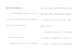 一株月季开出多色花的方法