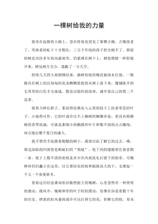 一棵树给我的力量