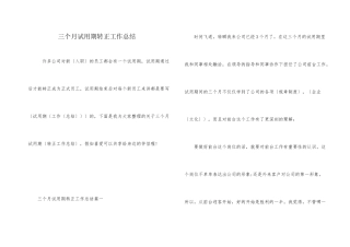 三个月试用期转正工作总结